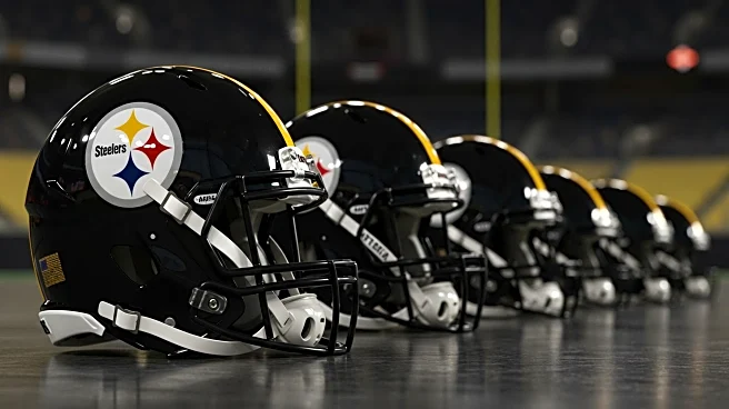 Pittsburgh Steelers Bolster Defense with Key Additions, Aim for Historic Performance