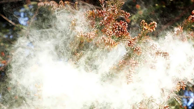 Sino Biological Supports Global Efforts Amid 2025 Chikungunya Outbreak