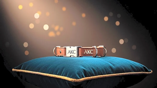 AKC Faces Backlash Over Increased Event Fees Amid Financial Concerns
