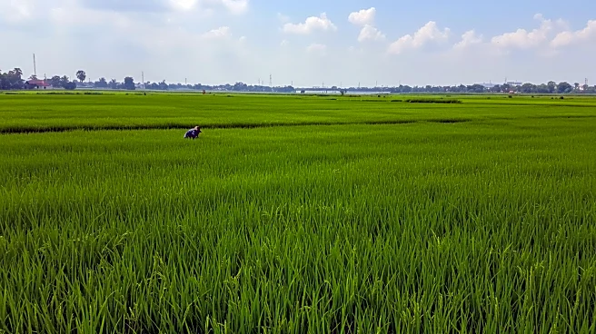 Cambodian Government Explores Agricultural and Trade Partnerships with Sarawak