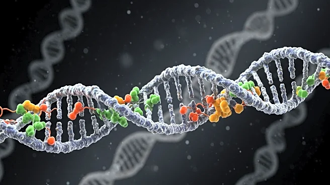 Harvard Researchers Utilize Proteins to Unlock Secrets of Human Evolution