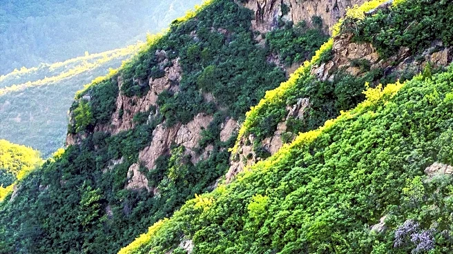Los Angeles Offers Scenic Hikes to Impress Visitors
