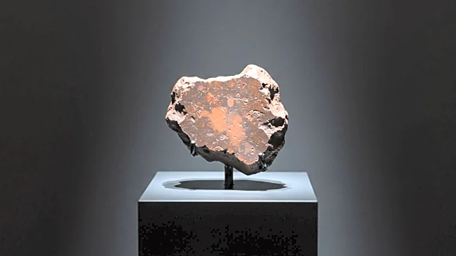 Niger Investigates Sotheby's Sale of Martian Meteorite for $5.3 Million
