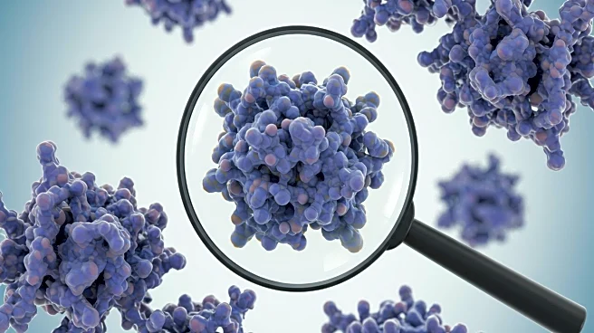 Study Links Autophagy Defects in Pancreatic Precancer Cells to Protein Clumps
