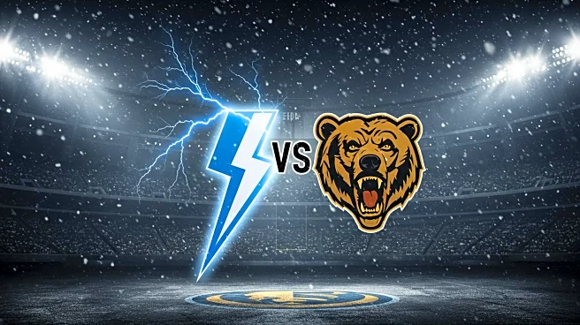 Tampa Bay Lightning and NHL Unveil Logo for 2026 Stadium Series Against Bruins