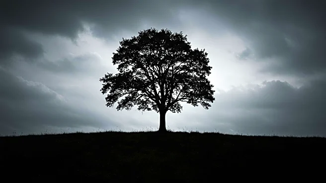 Film 'Went Up the Hill' Explores Themes of Grief and Haunting