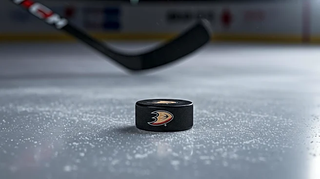 Anaheim Ducks Secure Mason McTavish Contract Extension Amid Trade Speculation