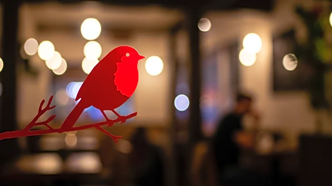 Red Robin Joins Casual Dining Value Wars with New CEO Strategy
