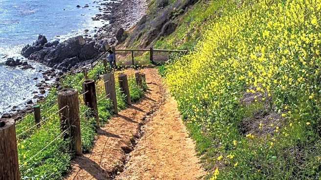 Top Los Angeles Hikes to Impress Visitors