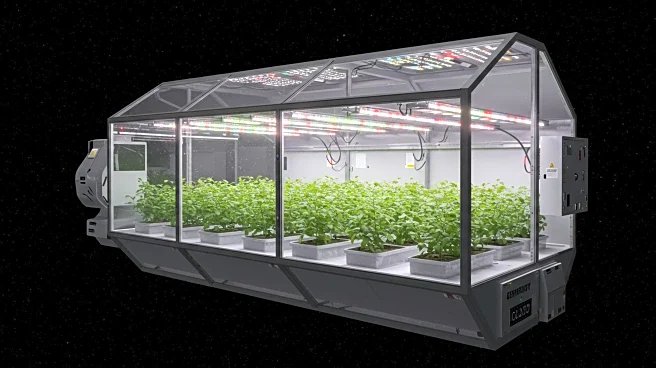 NASA's VEG-03 Experiment Advances Space Agriculture for Future Missions