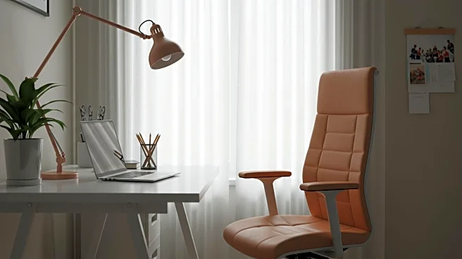 Study Explores Telework Choice Impact on Employee Performance and Satisfaction