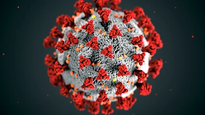 Mpox Virus Remains a Threat Despite Decreased U.S. Cases