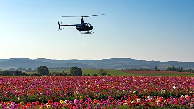Taliban Plans Helicopter Flower Display in Kabul for Takeover Anniversary