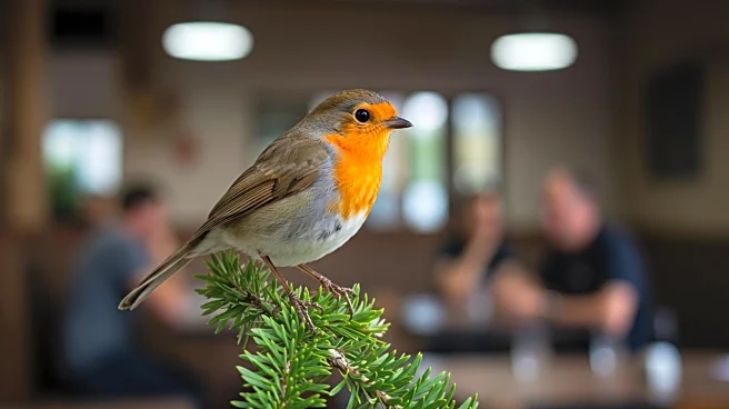 Red Robin Implements Strategic Turnaround Amid Casual-Dining Value Wars