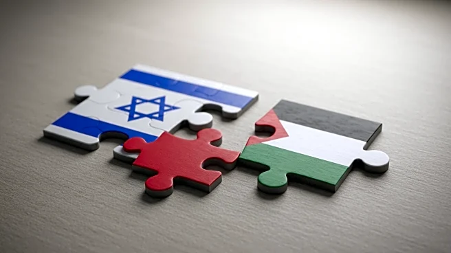 Israeli Foreign Minister Warns Against Palestinian State Recognition