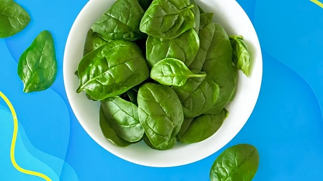 Dietitians Highlight Spinach as Key to Longevity