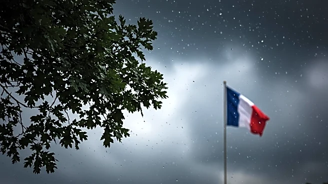 French President Macron Pledges Justice After Attack on Memorial Tree