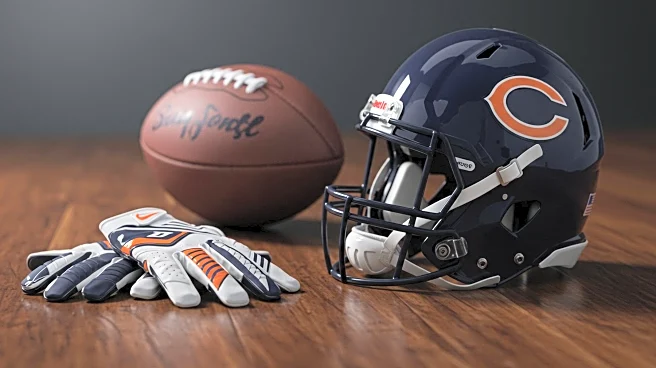 Chicago Bears' 2025 Success Hinges on Williams-Johnson Offensive Connection