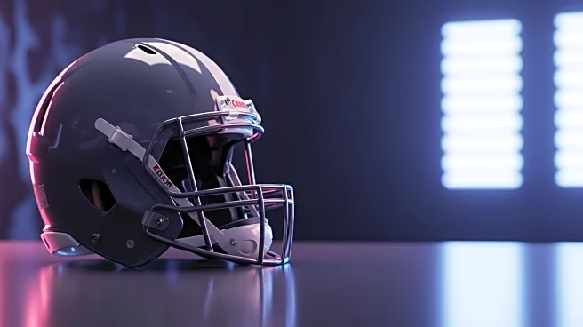 Carolina Panthers' Tetairoa McMillan Gains Strong Endorsement from ESPN Analysts