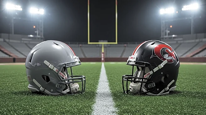 Ohio State's Sonny Styles and Caleb Downs Highlight 2025 Best Defensive Duos