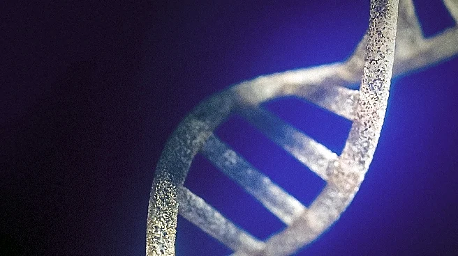 Researchers Develop Genetic Test to Predict Children's Future BMI Risk