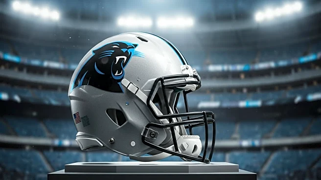 ESPN Analysts Endorse Tetairoa McMillan's Potential Impact on Carolina Panthers