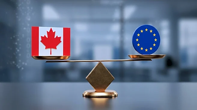 DOJ Tariff Enforcement Targets Canadian and EU Companies Amid Trade Tensions