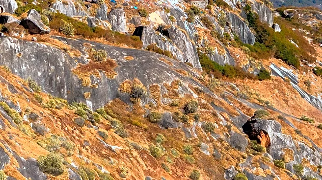 Kitt Peak Observatory Offers Unique Astronomical Experiences Amidst Sleeping Astronomers