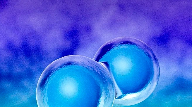 Institute for Bioengineering of Catalonia Captures Human Embryo Implantation in Real-Time, Advancing Fertility Research