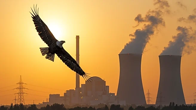 Eagle Energy CEO Discusses U.S. Uranium Production Amid Nuclear Power Expansion