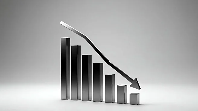 Anora Reports Decline in First-Half Net Sales Amid Challenging Market Conditions