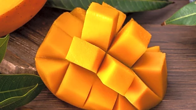 Indian Clinical Trials Reveal Mangoes May Benefit Type 2 Diabetes Patients