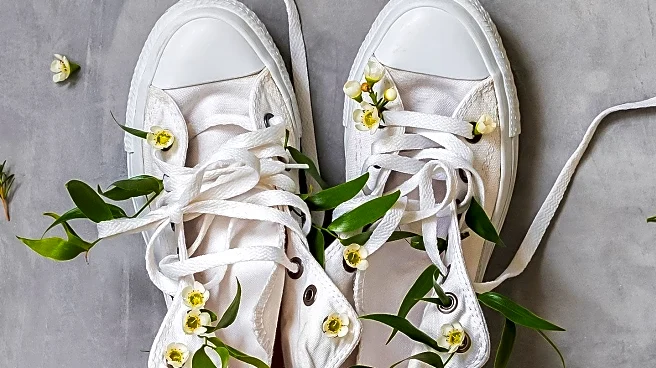 Canvas Sneakers Experience Resurgence Amid Celebrity Endorsements