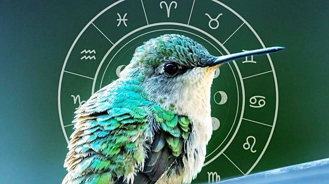 Madame Clairevoyant Offers Astrological Insights for August 15, 2025