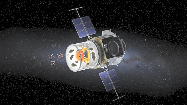 Russia Launches Biosatellite with Mice and Fruit Flies to Study Spaceflight Effects