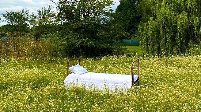 Literary Hub Explores Nature's Impact on Mental Health and Wellbeing