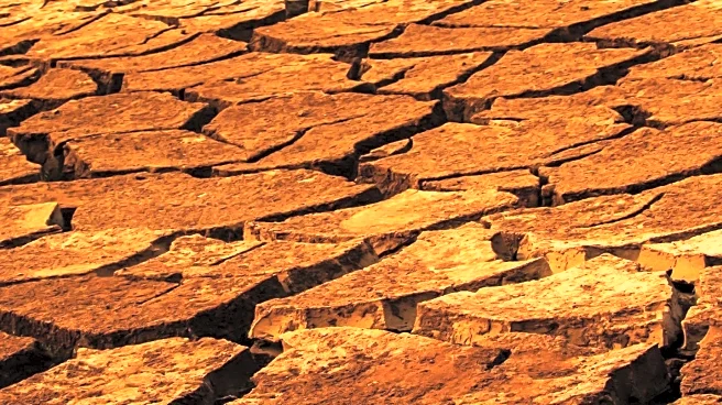 Authors Explore Hopeful Climate Fiction Amidst Crisis