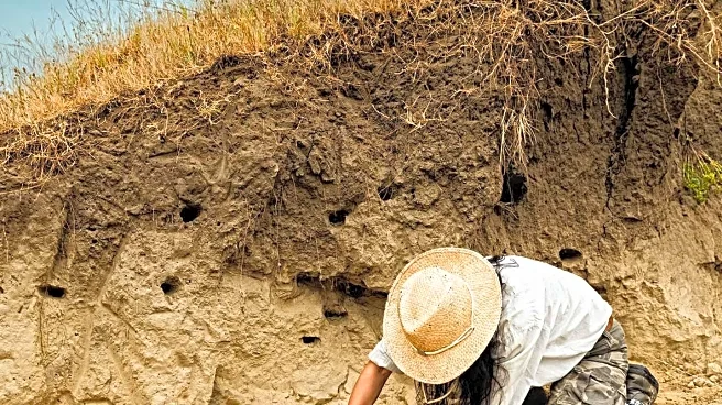 Florida Archaeology Student Discovers Rare 9th-Century Gold in U.K. Excavation