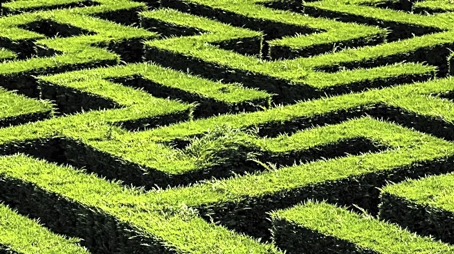 Lily Kwong Creates Botanical Labyrinth in Madison Square Park, Promoting Native Plant Awareness