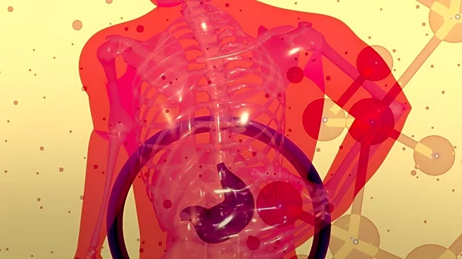 Study Links Bipolar Mood Swings to Insulin Signaling in Pancreas
