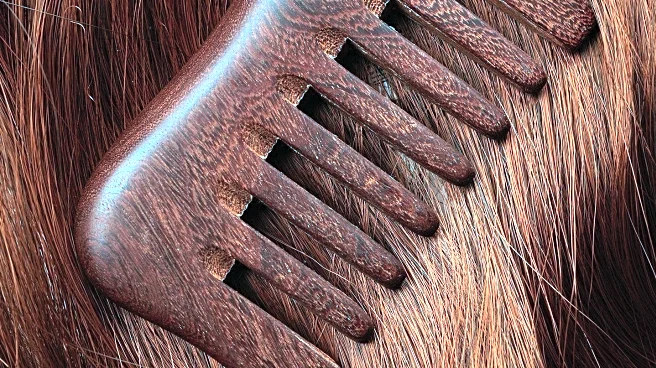 University of St. Andrews Researchers Discover Human Hair in Incan Khipu, Suggesting Broader Literacy