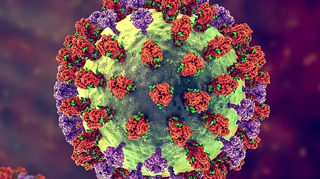 Colorado Health Officials Warn of Measles Exposure in Mesa County