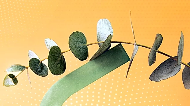 Gold Bond's Crepe-Reducing Moisturizer Gains Popularity Among Consumers