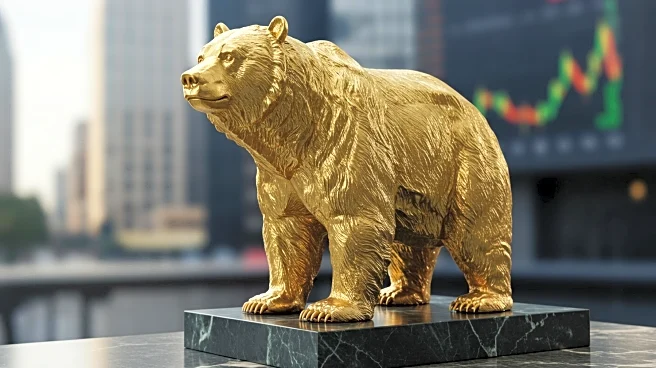 U.S. Stock Market Faces Potential Downturn Amid High P/E Ratios and Economic Concerns