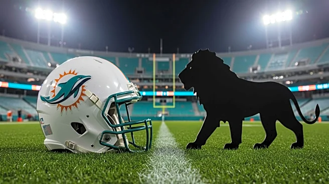 Miami Dolphins Showcase Emerging Talent in Preseason Win Against Detroit Lions