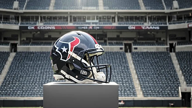 Texans' Jayden Higgins: Limited Impact in Preseason Game Raises Questions
