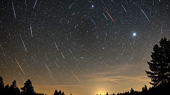 Perseid Meteor Shower Peaks in U.S. Amid Bright Moonlight