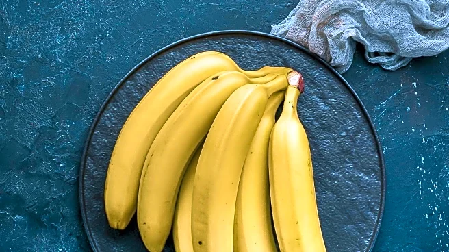Microbiome Expert Outlines Ways to Restore Gut Health
