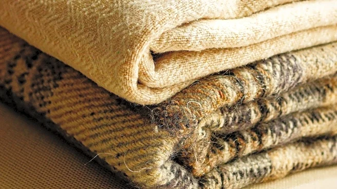 Young Engineer Designs Solar-Powered Blankets for Homeless, Wins Recognition
