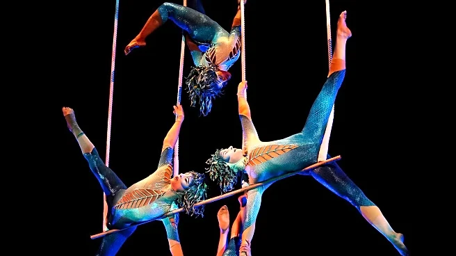 Gravity and Other Myths' 'Ten Thousand Hours' Wows Audiences with Skill and Humor